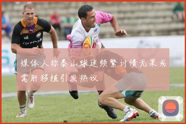 媒体人称泰山球迷频繁讨债无果或需肝移植引发热议