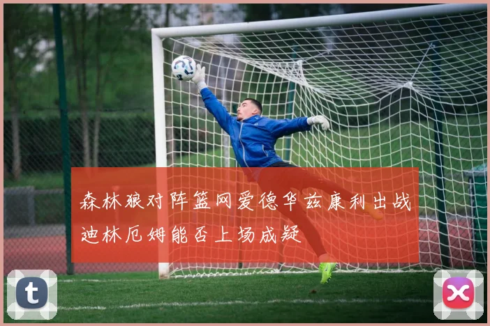 森林狼对阵篮网爱德华兹康利出战迪林厄姆能否上场成疑