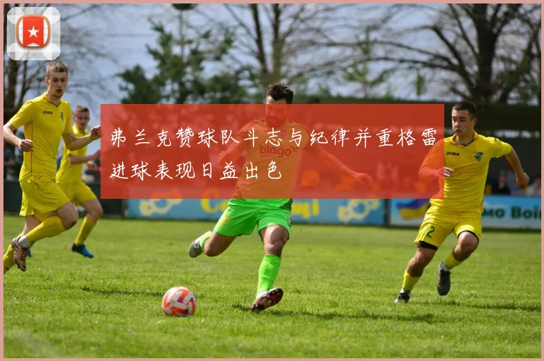 弗兰克赞球队斗志与纪律并重格雷进球表现日益出色