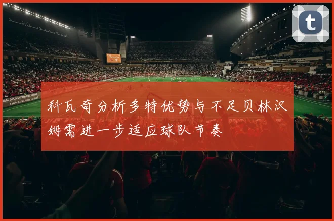 科瓦奇分析多特优势与不足贝林汉姆需进一步适应球队节奏